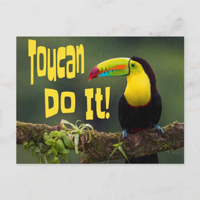 Toucan Do It! Colourful Bird Motivational Funny Pu Postcard (Front)