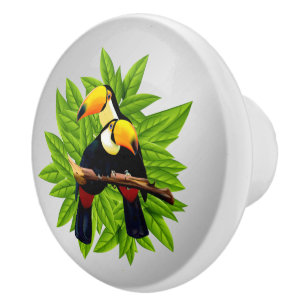 Toucan Duo Silver Ceramic Knob