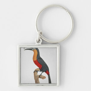 Toucan: Great Red-Bellied by Jacques Barraband Key Ring