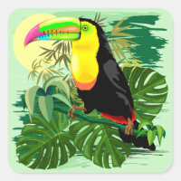 Toucan in Green Amazonia Rainforest