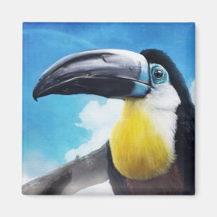 Toucan in Misty Air digital tropical bird painting Magnet