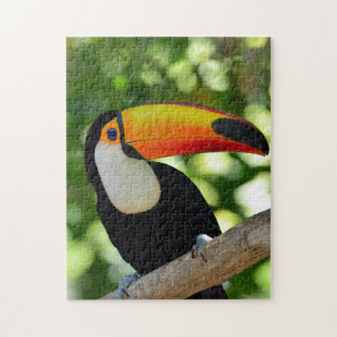Toucan Jigsaw Puzzle