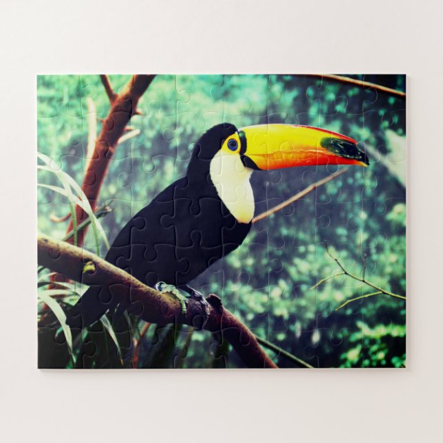 Toucan Jigsaw Puzzle (Horizontal)