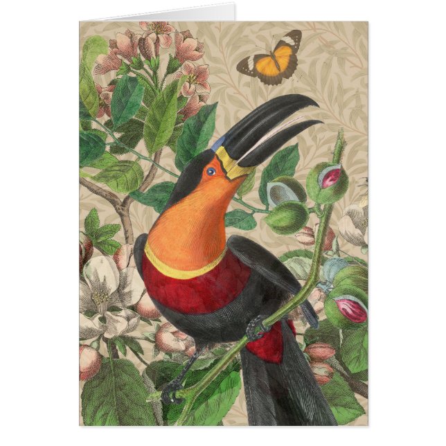 Toucan Jungle Tropical Bird Beautiful Antique (Front)