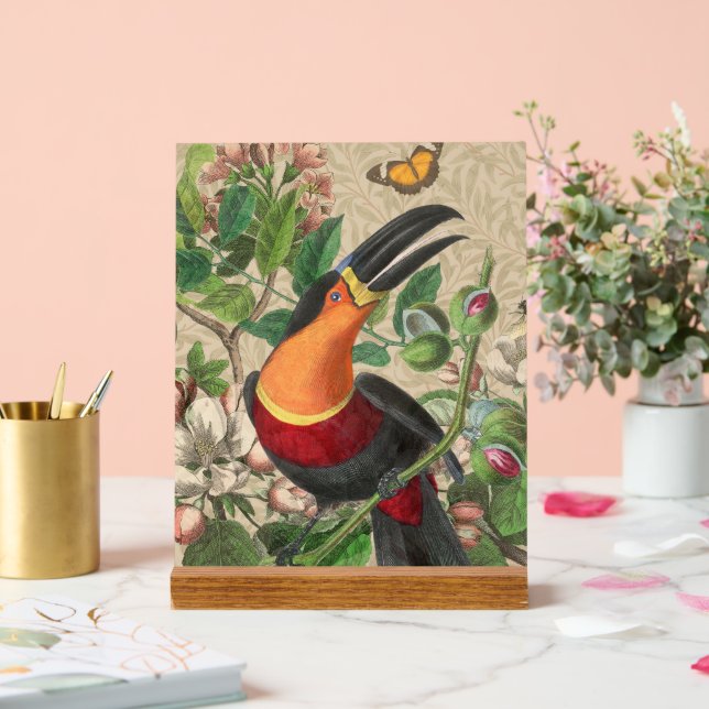 Toucan Jungle Tropical Bird Beautiful Antique Acrylic Sign (Wedding)