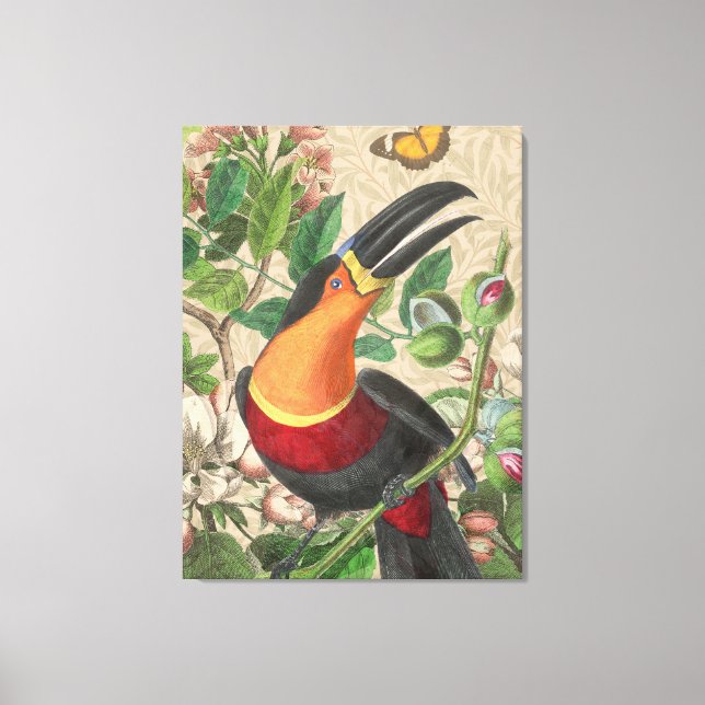 Toucan Jungle Tropical Bird Beautiful Antique Canvas Print (Front)