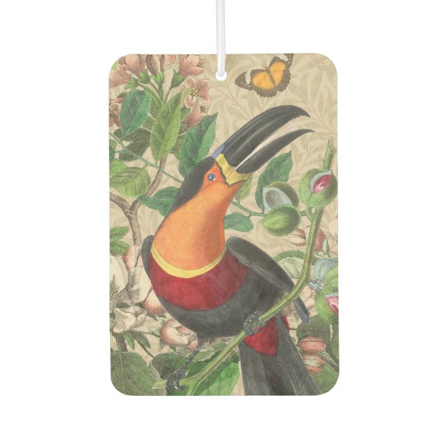 Toucan Jungle Tropical Bird Beautiful Antique Car Air Freshener (Front)