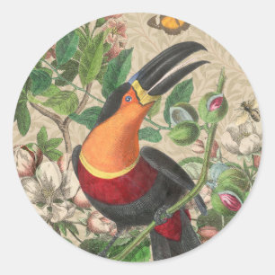 Toucan Jungle Tropical Bird Beautiful Antique Classic Round Sticker