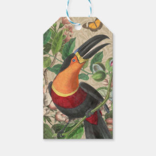 Toucan Jungle Tropical Bird Beautiful Antique Gift Tags