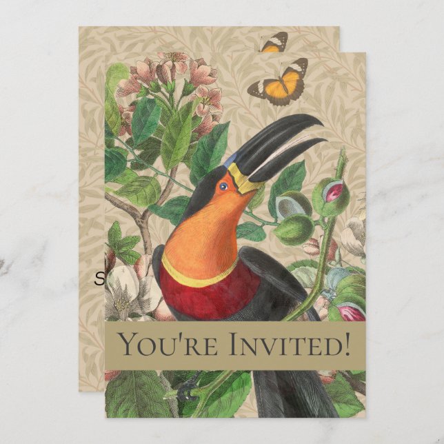 Toucan Jungle Tropical Bird Beautiful Antique Invitation (Front/Back)