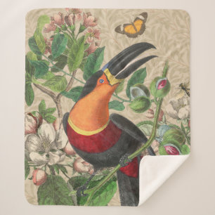 Toucan Jungle Tropical Bird Beautiful Antique Sherpa Blanket