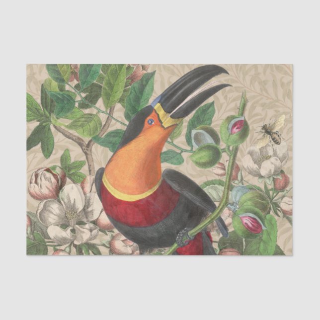Toucan Jungle Tropical Bird Beautiful Antique Tissue Paper (Front)