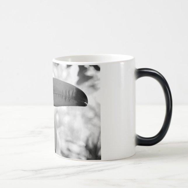 Toucan Morph Mug (Right)