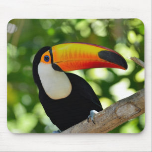 Toucan Mouse Pad