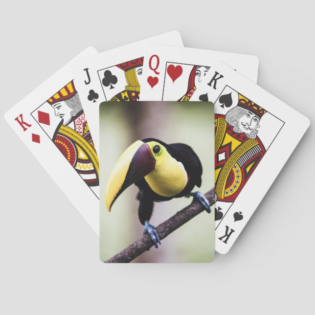 Toucan of Costa Rica Playing Cards (Back)