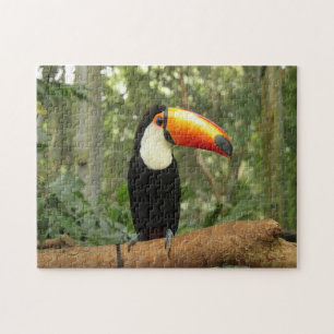 Toucan on tree branch jigsaw puzzle