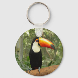 Toucan on tree branch key ring