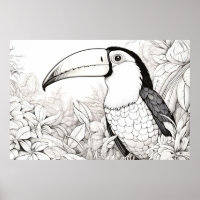 Toucan Peaceful Nature Prairie Sketch Drawing Art