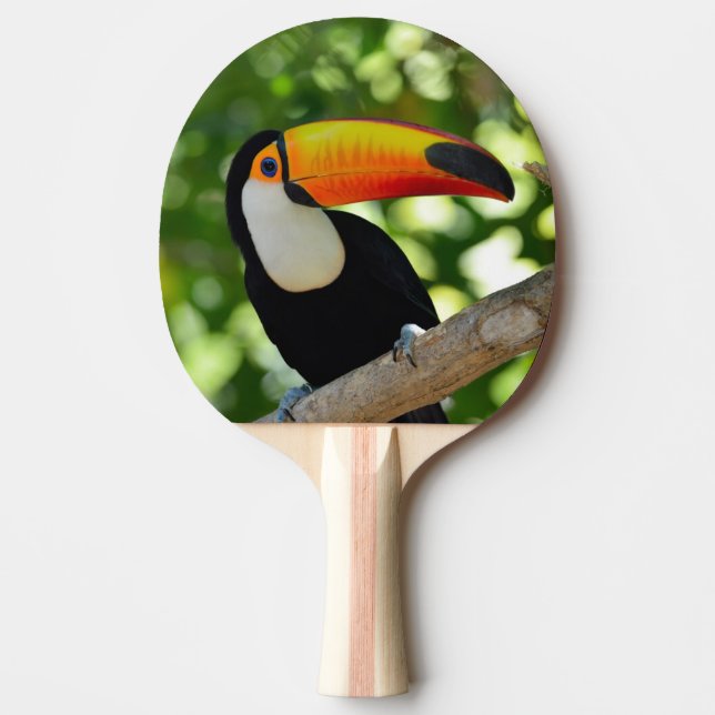 Toucan Ping Pong Paddle (Front)
