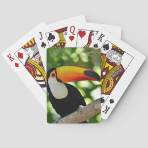 Toucan Playing Cards