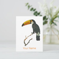 Toucan Portrait Animal Tropical Bird Design
