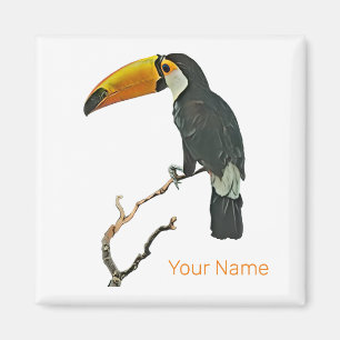 Toucan Portrait Animal Tropical Bird Design Magnet