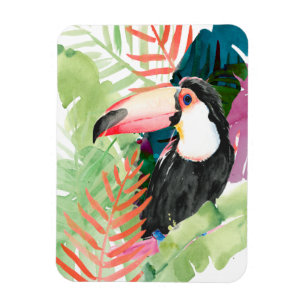 Toucan Portrait with Tropical Leaves Magnet