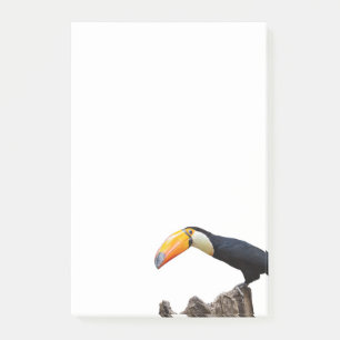 Toucan Post-it Notes