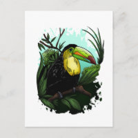 Toucan