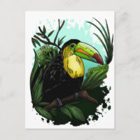 Toucan