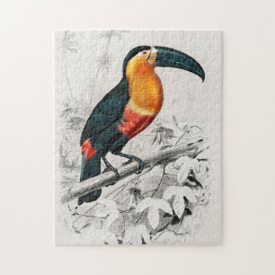 Toucan Ramphastos Illustration Vintage Art Print Jigsaw Puzzle