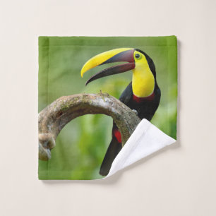 Toucan sitting on the branch in the forest wash cloth