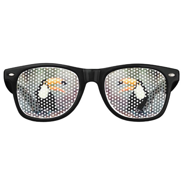 Toucan Sunglasses (Front)