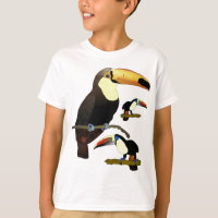 Toucan
