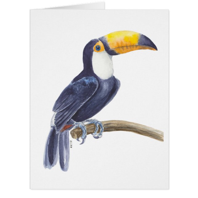 Toucan, tropical bird (Front)