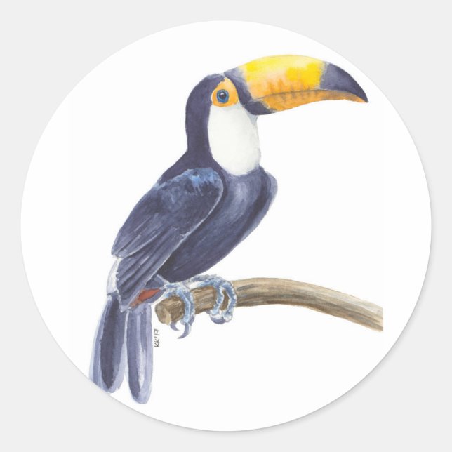Toucan, tropical bird classic round sticker (Front)
