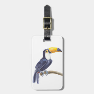 Toucan, tropical bird luggage tag