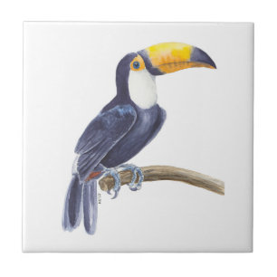 Toucan, tropical bird tile