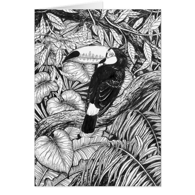 Toucan tropical garden (Front)