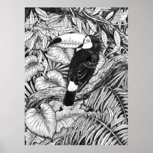 Toucan tropical garden poster