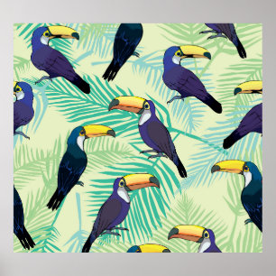 Toucan Vintage, Colourful Illustration. Poster