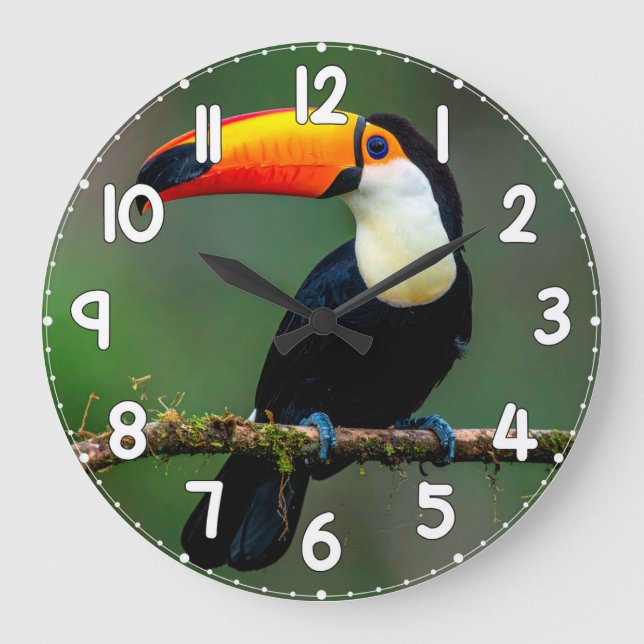 Toucan Wall Clock – Tropical Bird Wildlife Nature  (Front)