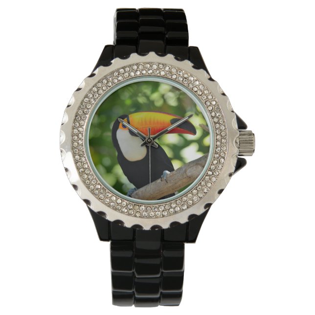 Toucan Watch (Front)