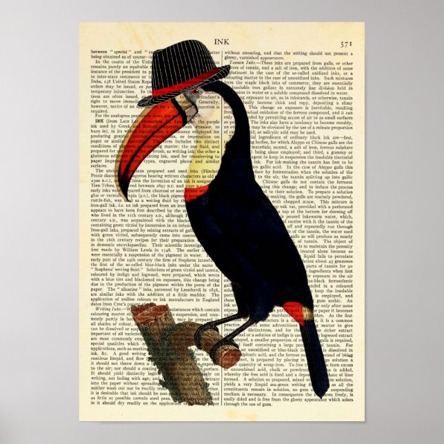 Toucan Wearing a Hat, Trilby, Vintage Illustration Poster (Front)