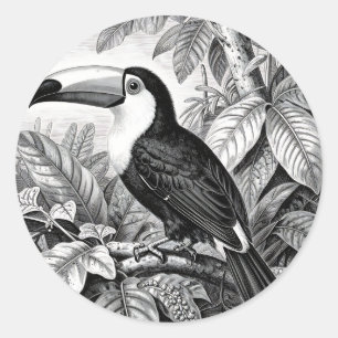 Toucans Jungle Foliage Engraving Classic Round Sticker