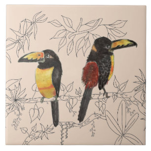 Toucans on a Ceramic Tile (B)