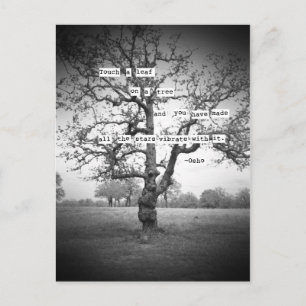 Touch a leaf... postcard