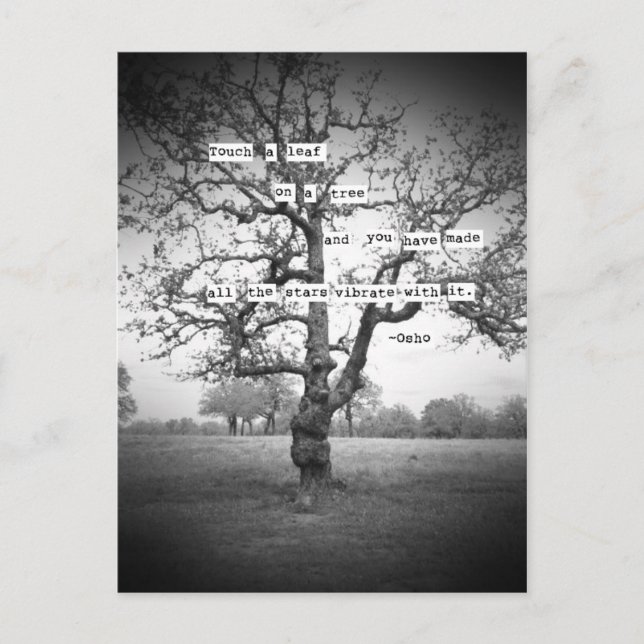 Touch a leaf... postcard (Front)