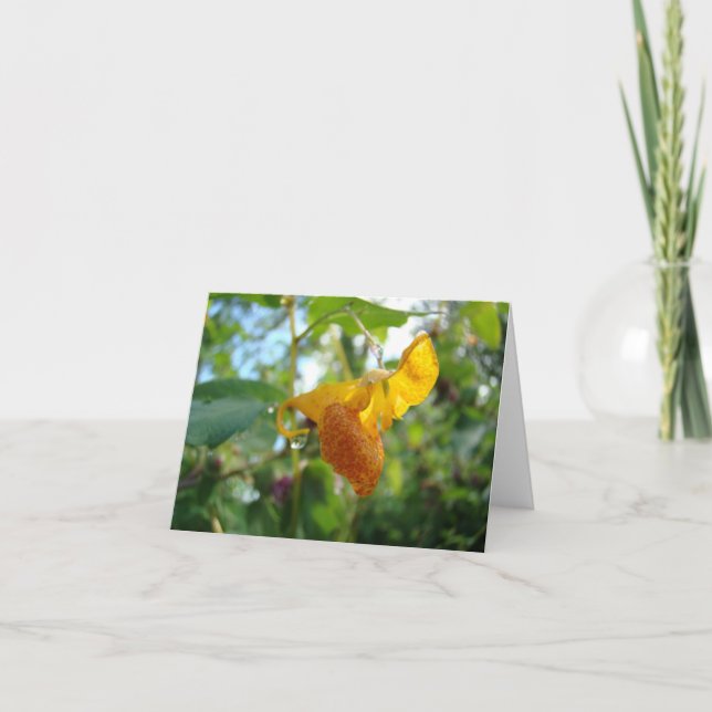 Touch-Me-Not Orange Wildflower Card (Front)