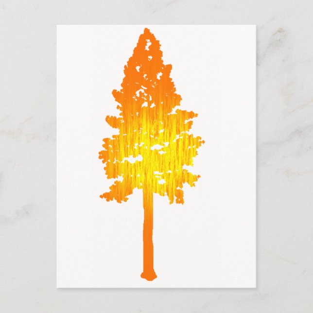 Touch of Sun Postcard (Front)